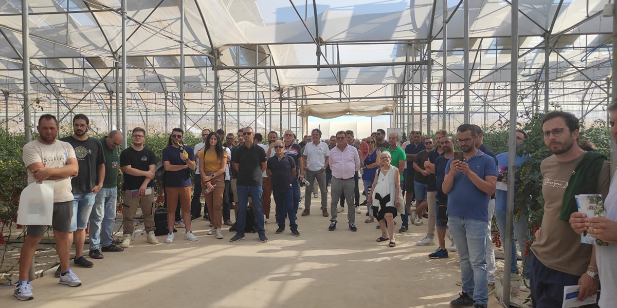 Tomato Exhibition: Nunhems protagonista con l'innovazione varietale 